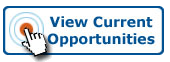 View Current Opportunities View Current Opportunities